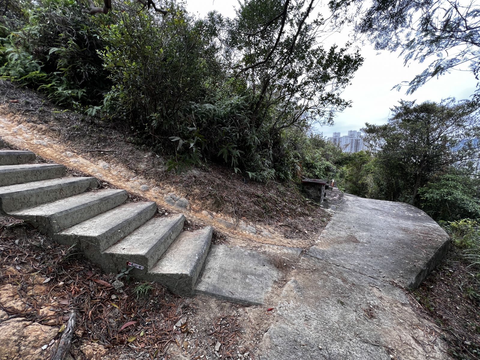 climb upwards